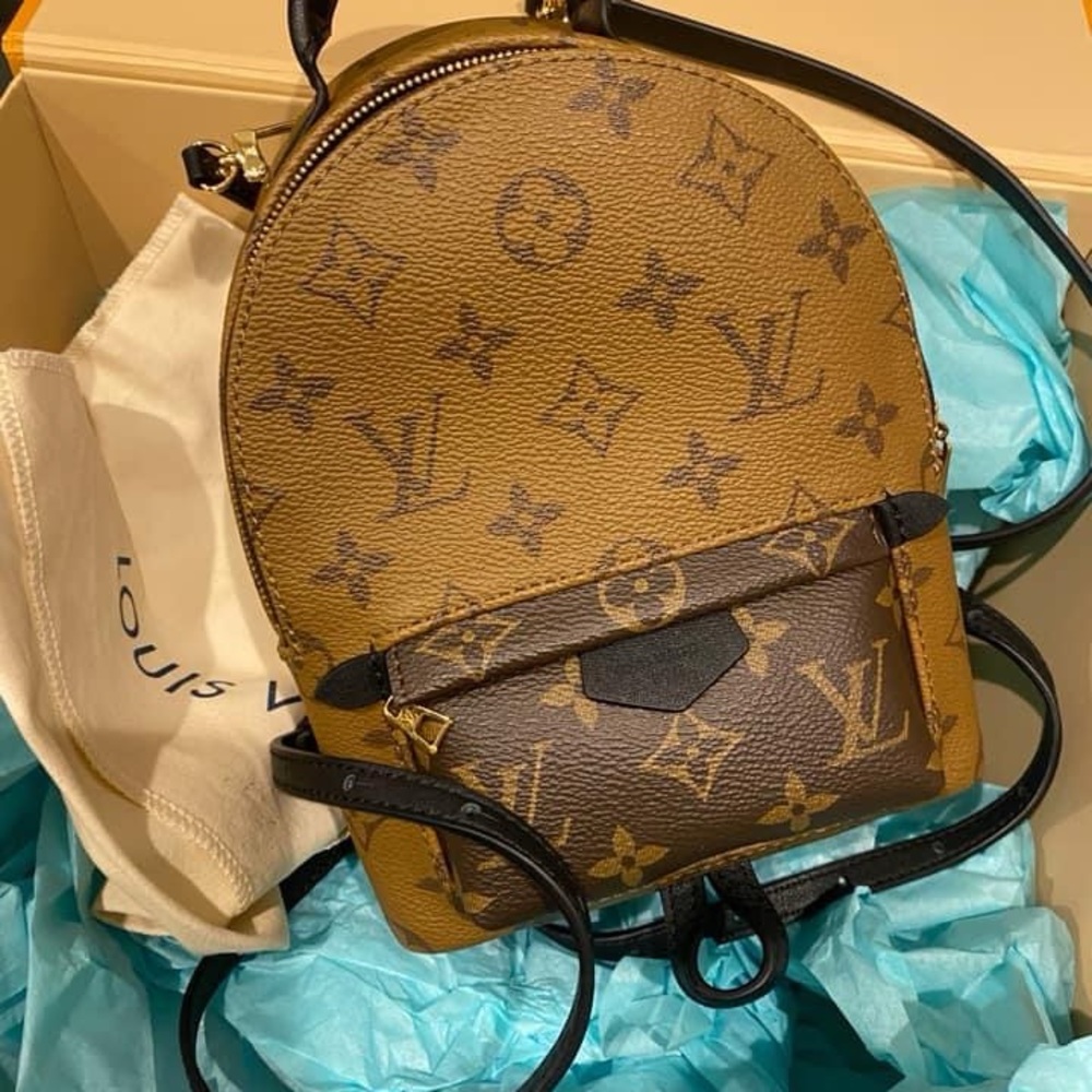 Louis Vuitton Reverse Palm Spring mini